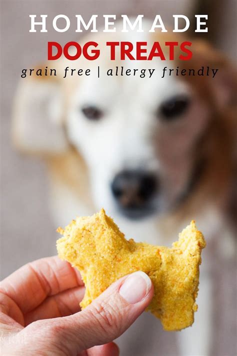 Dog Treat Recipe For Dogs With Allergies Grain Free Home And Plate