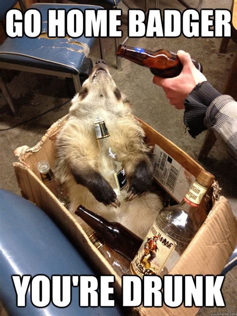 Go Home Badger Youre Drunk Drunk Badger Quickmeme