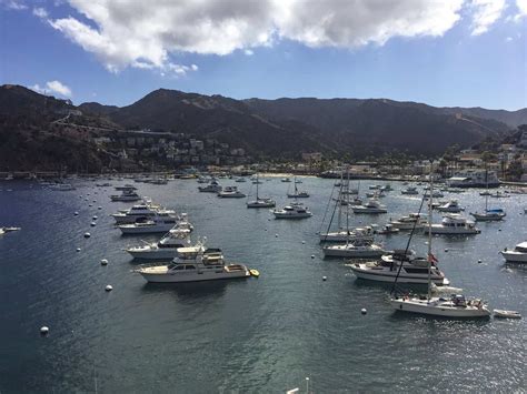 10 Awesome Things To Do On Catalina Island Traveling Ness