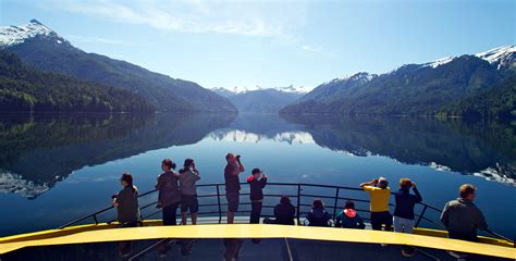 Prince Rupert Adventure Tours Whale Watching Adventure Tours Eco