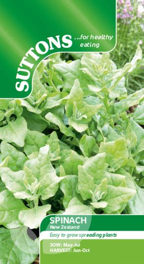 Seeds Spinach New Zealand For Sale Buy Online