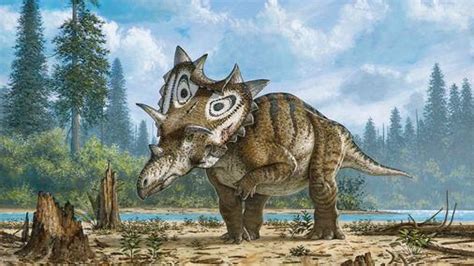 New Horned Dinosaur Species Discovered In Montana The Boston Globe