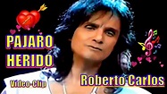 ROBERTO CARLOS - PAJARO HERIDO ''Vídeo-Clip en Español'' - 4k - YouTube