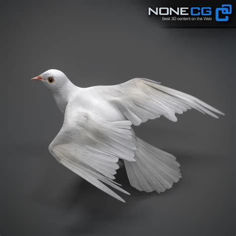Artstation Animated White Dove Resources