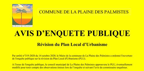 Accueil Mairie De La Plaine Des Palmistes