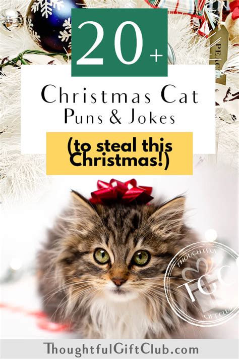 20 Christmas Cat Puns For The Purr Fect Instagram Captions
