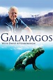 Galapagos 3D with David Attenborough (TV Series 2013-2013) — The Movie ...