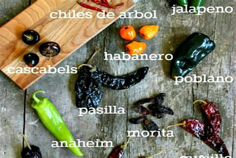 12 Best Mexican Peppers A Guide To Spicy Mexican Cooking
