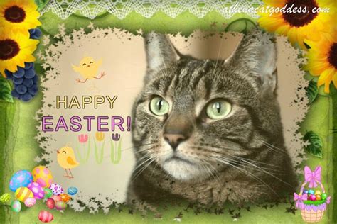 Caturday Art Happy Easter Happy Easter Card Happy Easter Caturday