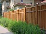 Pictures of Wood Fence Yard