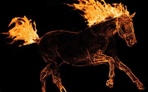 Horse On Fire By Sfhys On Deviantart