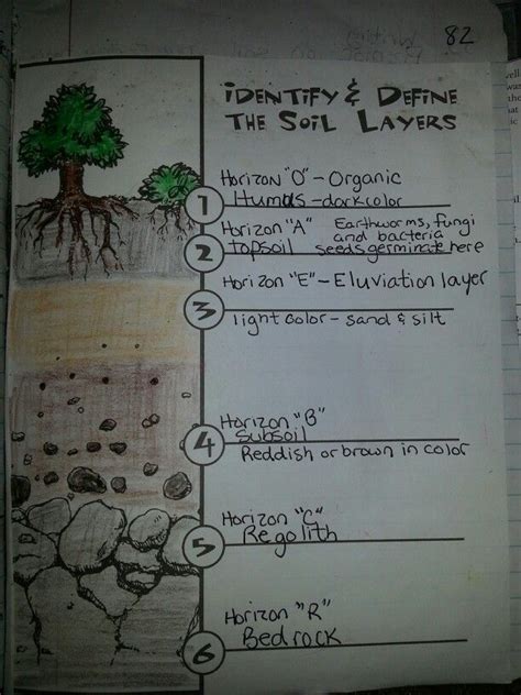 soil layers soil layers  grade science worksheets