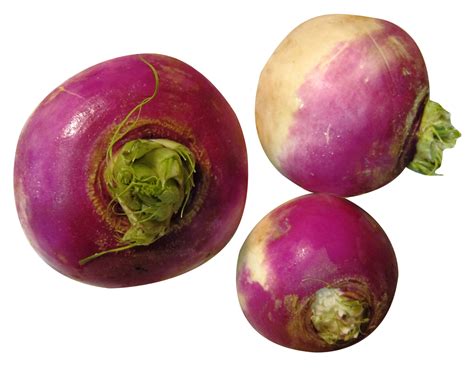 Download Turnip Png Image For Free