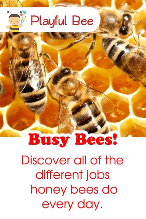 Busy Bee Job Activity Artofit