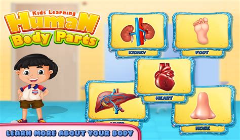 Kids Human Body Parts Learning Game Apps And Games