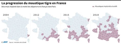 Où Le Moustique Tigre Est Il Actif En France Sciences Et Avenir