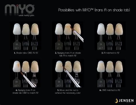 Miyo Esthetic System Bring Your Monolithic To Life