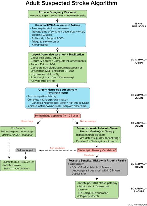 Acls Algorithm 2021 Printable