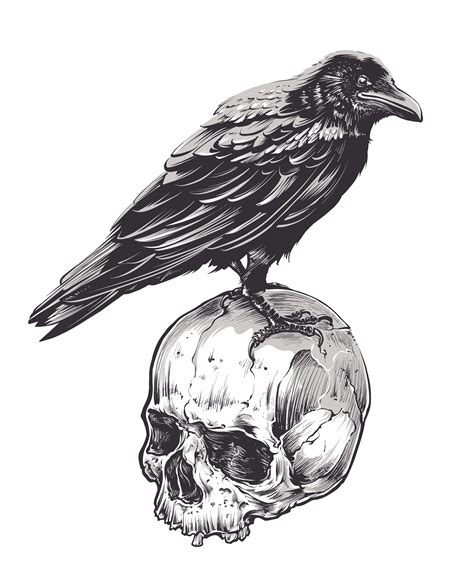 Crow On Skull Tatoo Bird Birds Tattoo Tattoo Tree Crow Art Raven