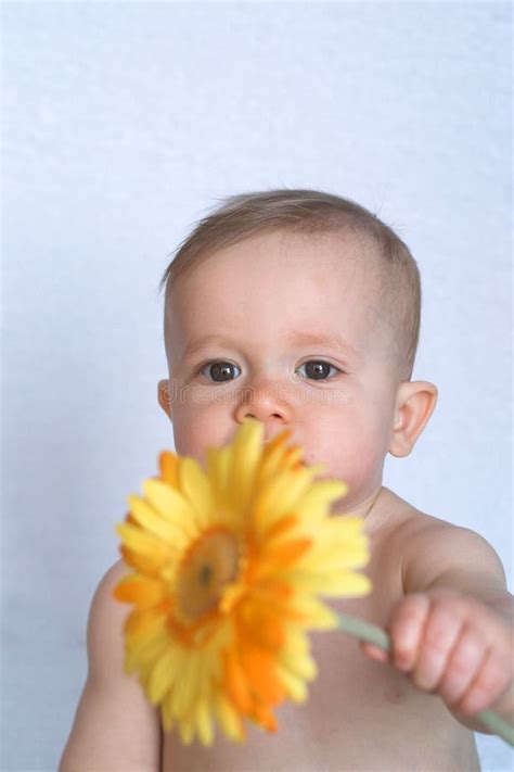 Flower Baby Stock Image Image Of Child Infant Innocence 2064949