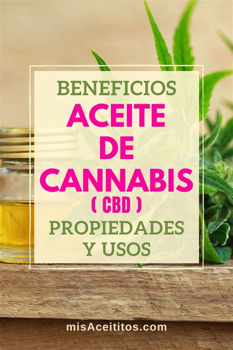 Aceite De Cannabis Propiedades Beneficios Y Usos Artofit