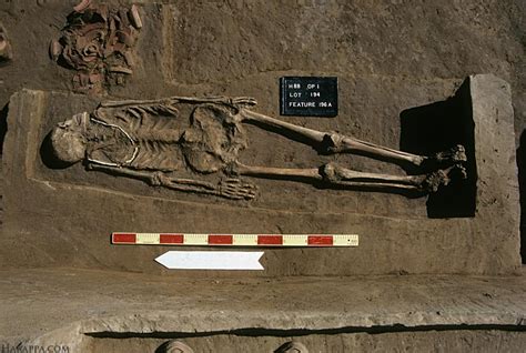 burial of adult man harappa harappa