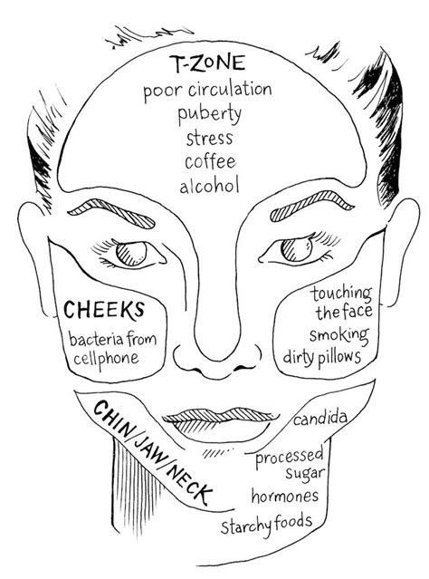 Here, both western and eastern medical approaches seem to agree: Into The Gloss | Exploring The Face Map With Ayurveda