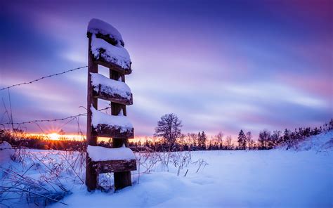 Snow Winter Sunset Purple Barb Wire Fence Hd Wallpaper