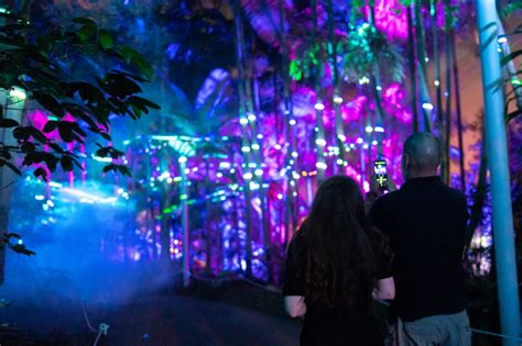 The Enchanted Garden Brisbane Australia 2022 Laservision