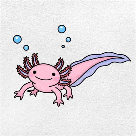 Axolotl Drawing Easy Cute How To Draw An Axolotl Draw Central Images