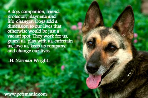 Dog Quotes Pets Manic Blog