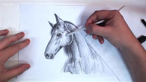 Desenhos De Animais Selvagens Realistas