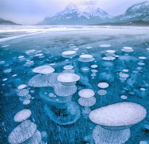 15 Amazing Things You Wont Believe Actually Exist In Nature