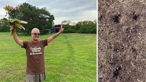 Gotlands Fulaste Gräsmatta Växer Hos Stina Väldigt Stolt P4