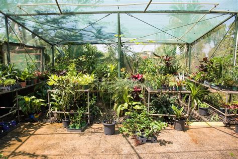 Tips To Help Maximize Greenhouse Space Southeast Agnet