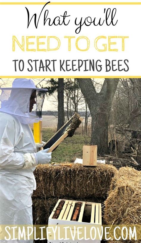 How To Start Beekeeping Beginning Beekeeping Supplies Bee Keeping