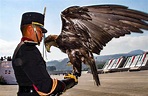 Construirán centro de protección para águila real en Colegio Militar