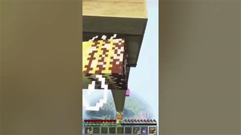 The Amazing Video Of Minecraft Dream Youtube
