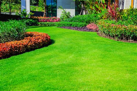 Six Steps To Have The Perfect Lawn In 2020 Houseman Pest
