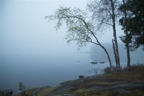 Foggy Pictures From The North Study In Sweden