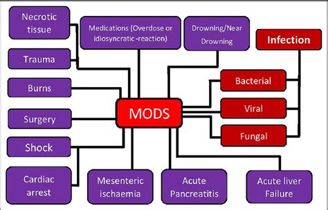 Figure 4 From Multiple Organ Dysfunction Syndrome Semantic Scholar