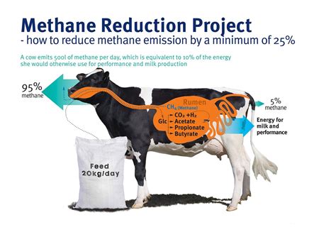 According to the speaker, more and more greenhouse gases are produced by. How Project Clean Cow is reducing cattle methane emissions ...