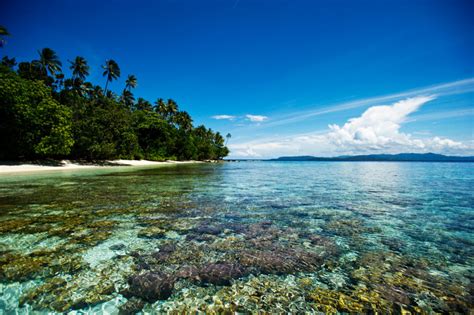 Острова Тихого океана Фото тропических островов Тихого океана