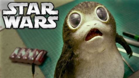 What Are Porgs Star Wars Explained Youtube