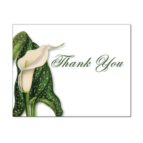 Calla Lily Thank You Card The Image Shop