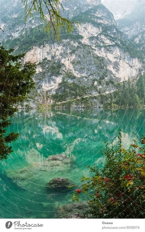 Braies Wild Lake Lago Di Braies A Royalty Free Stock Photo From