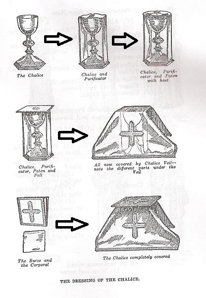 Servimus Unum Deum Latin Mass Altar Serving And Related