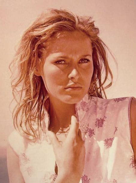 Picture Of Ursula Andress Ursula Ursula Andress Old Hollywood