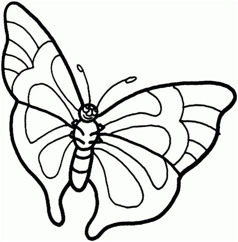 Cool Butterfly Coloring Pages Pdf Butterfly