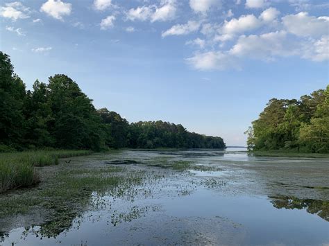 17 Of The Best Lakes In Alabama For A Perfect Vacation Flavorverse